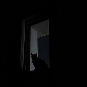 会不会太晚 (甜御版)