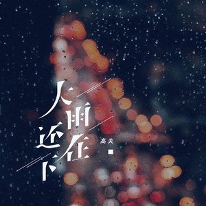 大雨还在下 (DJ R7版)