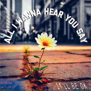 All I Wanna Hear You Say (It'll Be Ok) (Explicit)