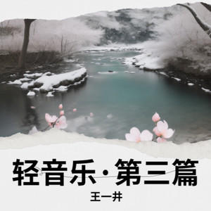 小树林里的稀疏日光