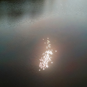 Worship You Forever (Live)