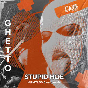 Stupid Hoe (Explicit)