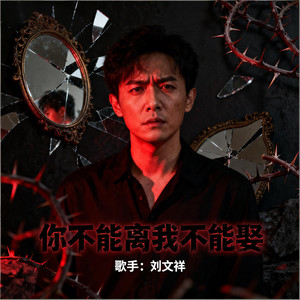 刘文祥 - 你不能离我不能娶