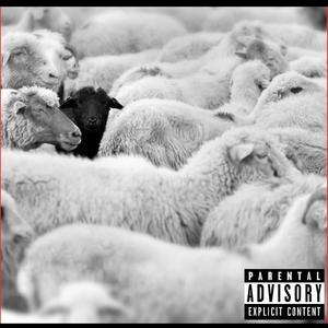 Black Sheep (Explicit)