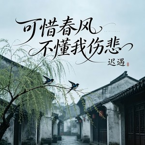 可惜春风不懂我伤悲-迟遇