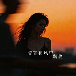 誓言在风中飘散（想要陪你多走一段路）