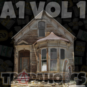 A1 Vol 1 (Explicit)