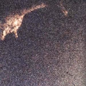 Shattered (Explicit)