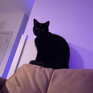 lost and found! (feat. shower king) (Explicit)