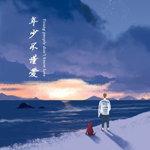年少不懂爱
