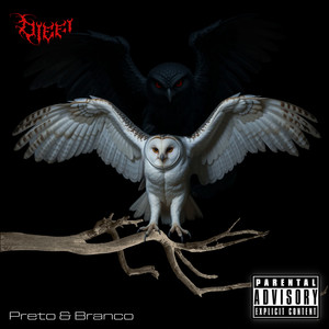 Dama da Noite (Explicit)