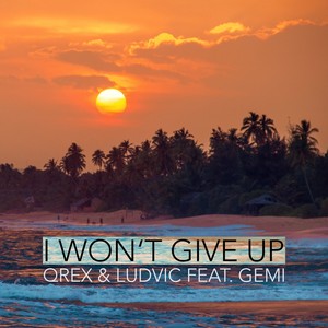 I Won't Give Up