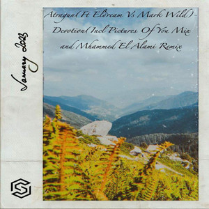 Devotion (Pictures Of You Radio Edit)