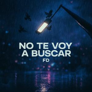 No te voy a buscar