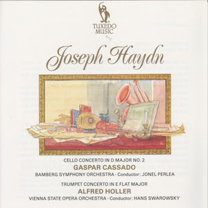 Cello Concerto in D Major No. 2, Hob. VIIb:2, Op. 101: I. Allegro moderato
