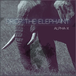 Drop the Elephant