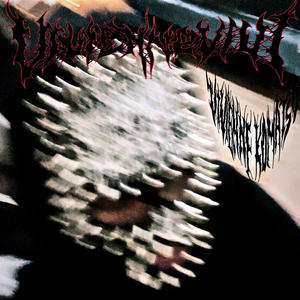 Fashion Victim (feat. flexer) (Explicit)