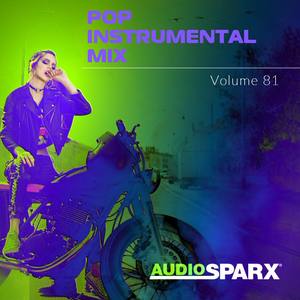 Pop Instrumental Mix Volume 81