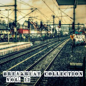 Breakbeat Collection Vol. 12