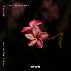 Used to You (Innarius Remix)