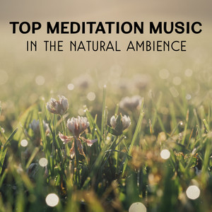 Top Meditation Music in the Natural Ambience – Yoga Exercises Sounds, Stress Relief, Inner Harmony, Relaxing Healing Music