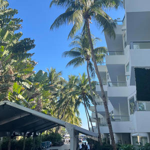 GET RICH OR DIE TRYN (Explicit)