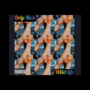 Wild Life (Explicit)