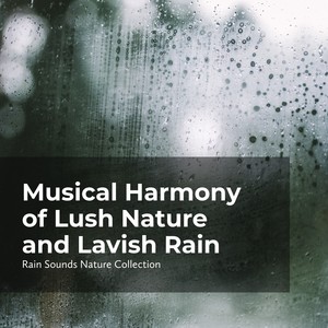 Musical Harmony of Lush Nature and Lavish Rain