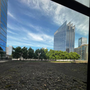 so pretty i thought i could die