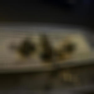 Lyfestyle (Explicit)