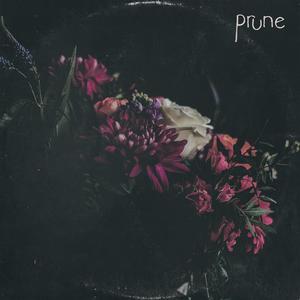 Prune