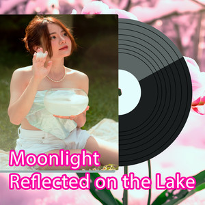 Moonlight Reflected on the Lake