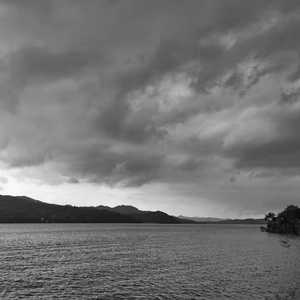 至此流年各天涯