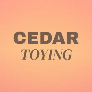 Cedar Toying