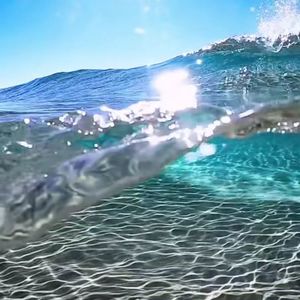 Shape Of You (Reverb空灵)