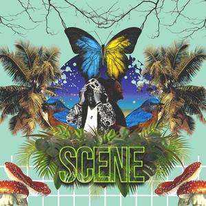 Scene (Explicit)