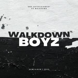 WalkDown Boyz (Explicit)