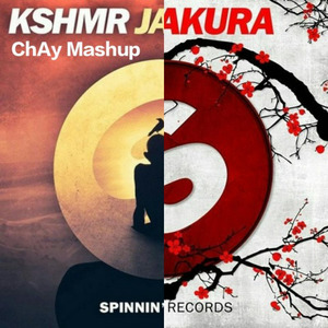 KSHMR/R3hab-JAMMU Sakura(ChAy Mashup) (SuPer ChAy Remix)