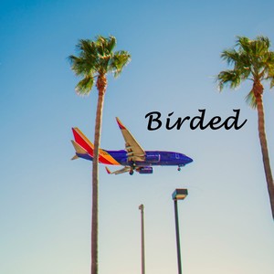 Birded