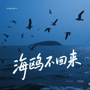 海鸥不回来(我们在哪里过冬)