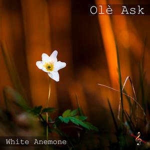 Abbey (feat. Jeff Wasserman)