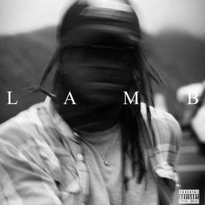 LAMB (Explicit)