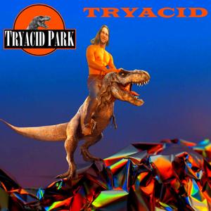 TRYACID PARK