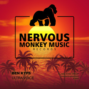 Ultra Voice (Original Mix)
