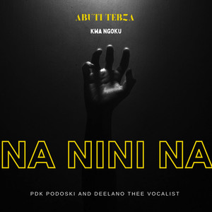 Na Nini Na