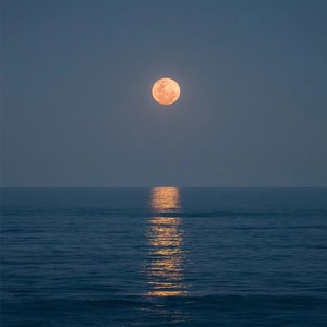 你倒映在月里 (伴奏)