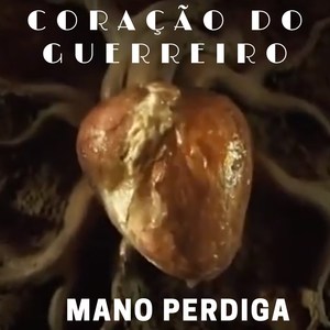 Coração do Guerreiro