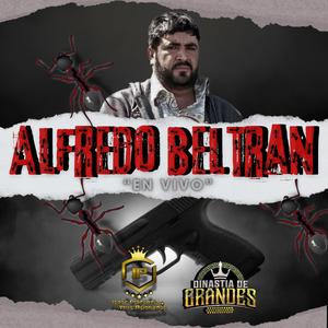 Alfredo beltran (feat. Dinastia de grandes)