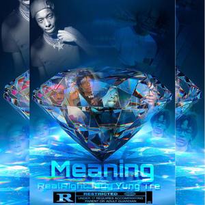 Meaning (Explicit)