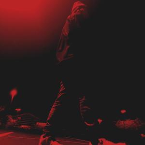 euphoric (feat. Notebook of Contempt) (Explicit)